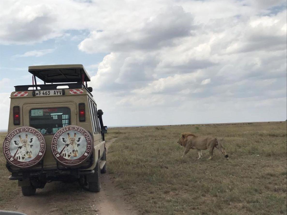 Serengeti Kifaru Tented Lodge Mugumu 外观 照片