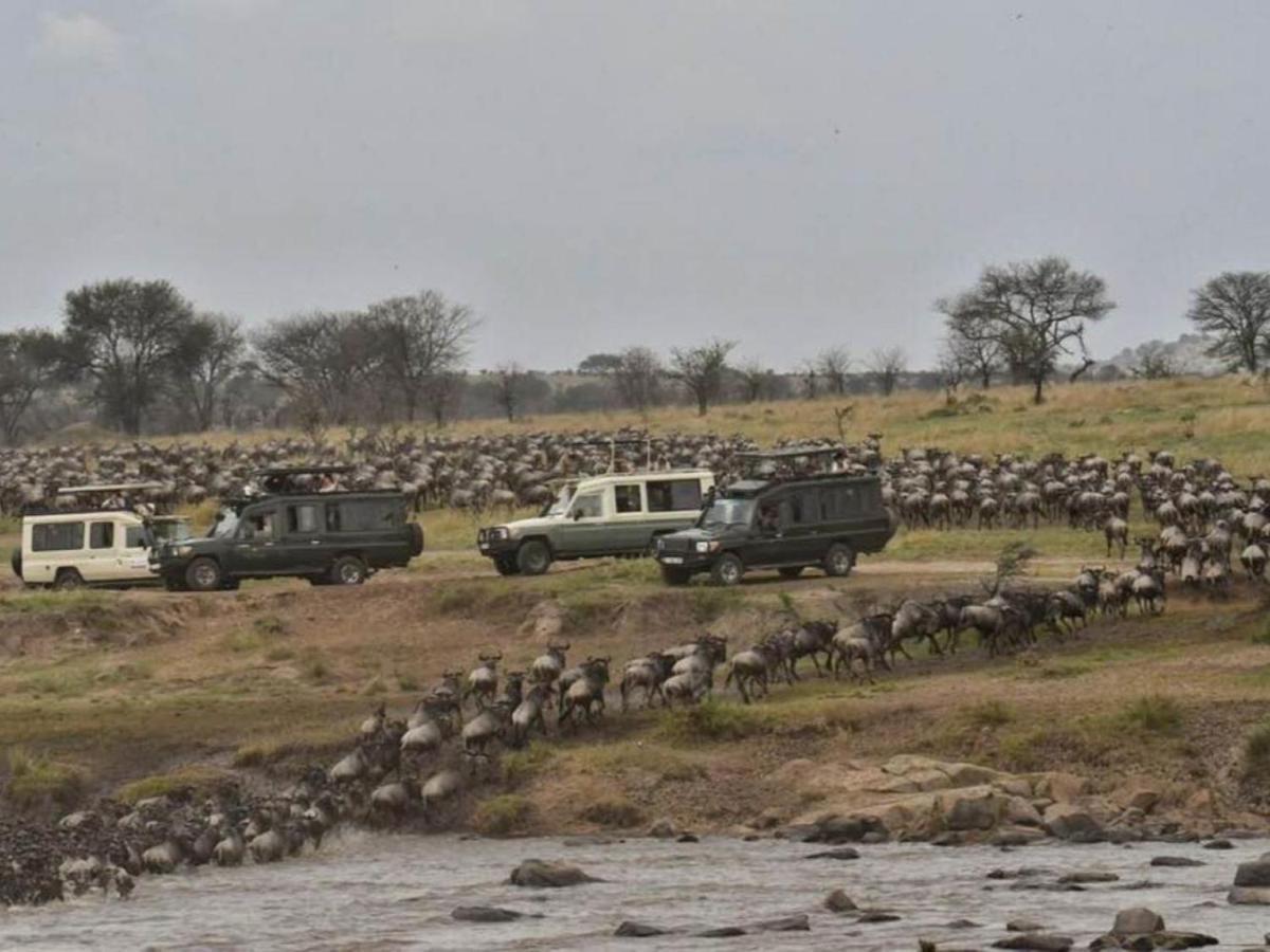 Serengeti Kifaru Tented Lodge Mugumu 外观 照片