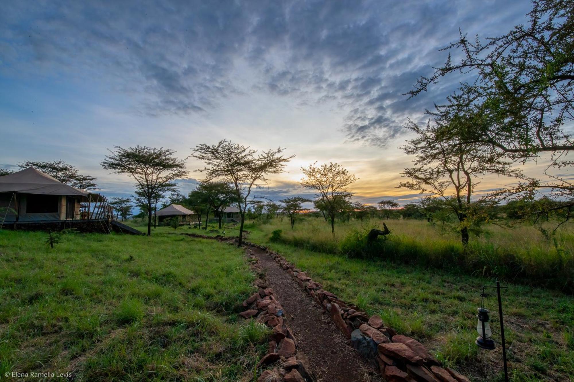 Serengeti Kifaru Tented Lodge Mugumu 外观 照片