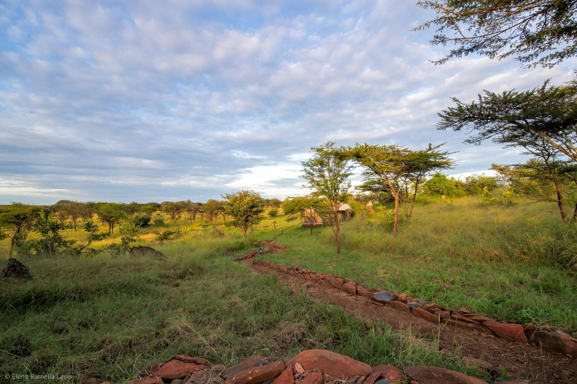 Serengeti Kifaru Tented Lodge Mugumu 外观 照片