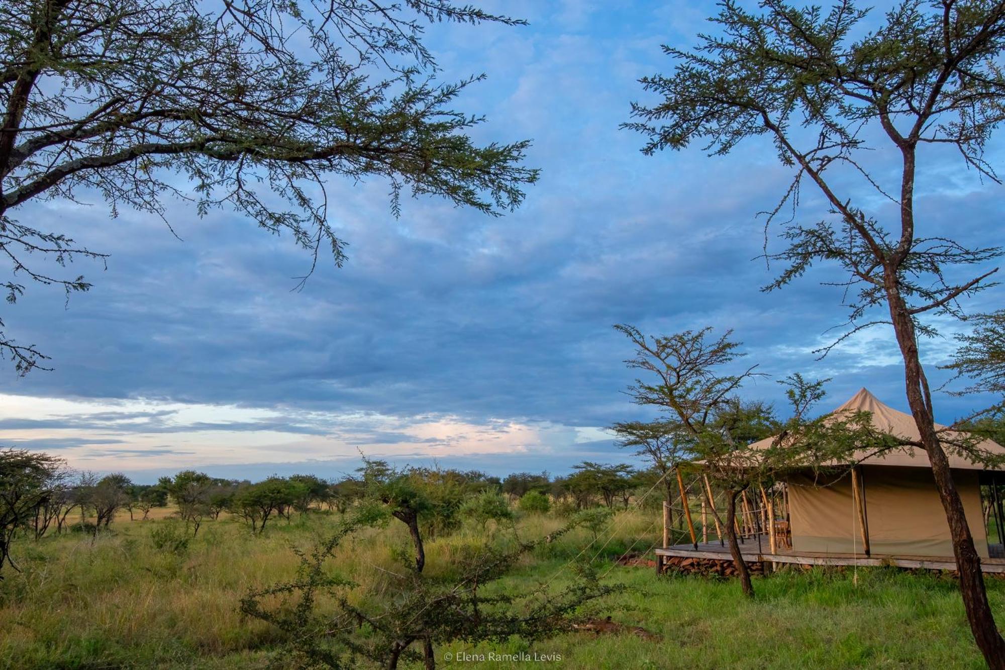 Serengeti Kifaru Tented Lodge Mugumu 外观 照片