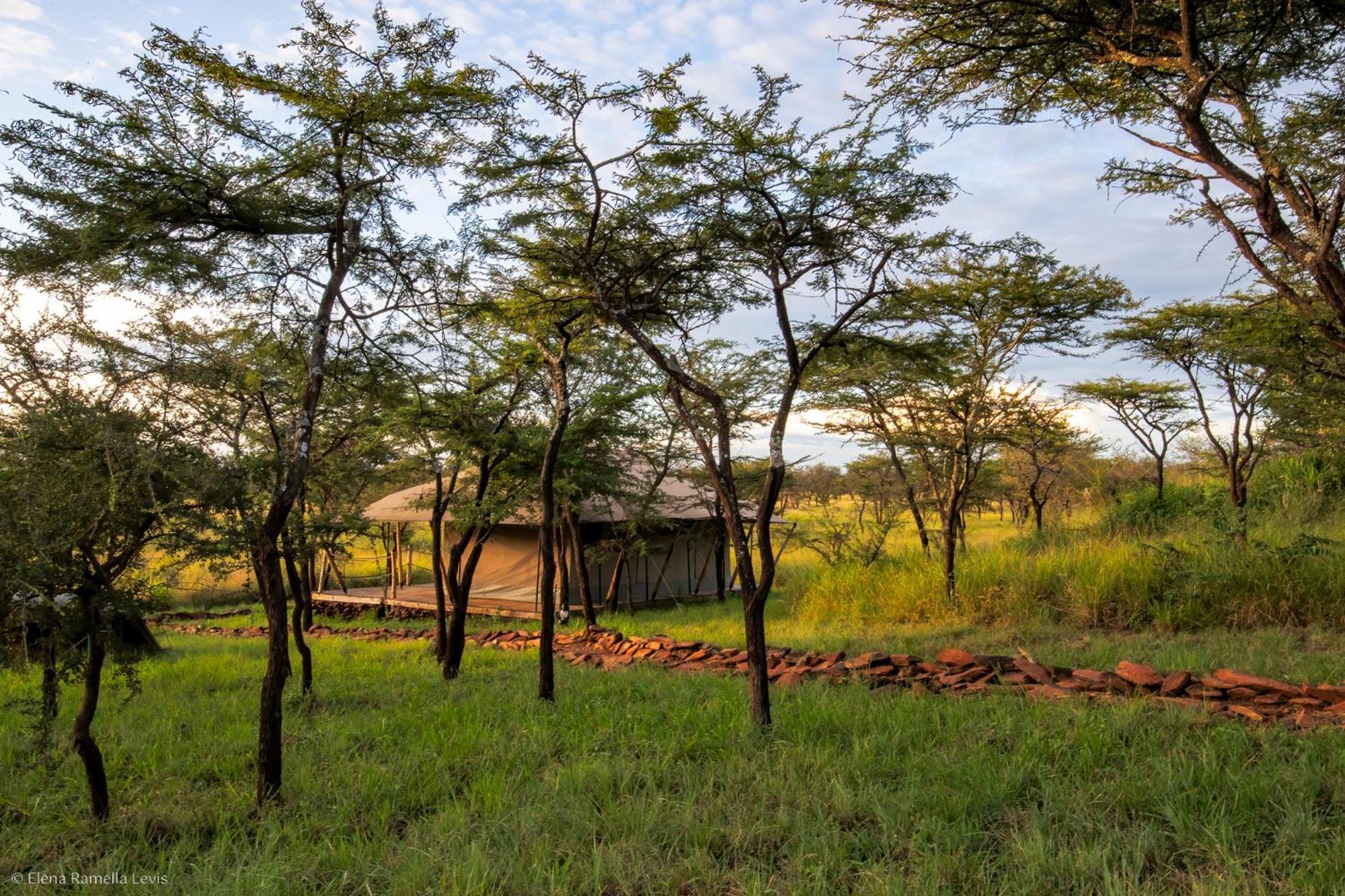 Serengeti Kifaru Tented Lodge Mugumu 外观 照片